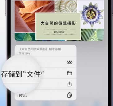 彝良apple维修中心分享iPhone文件应用中存储和找到下载文件