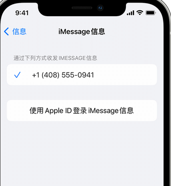 彝良apple维修iPhone上无法正常发送iMessage信息 