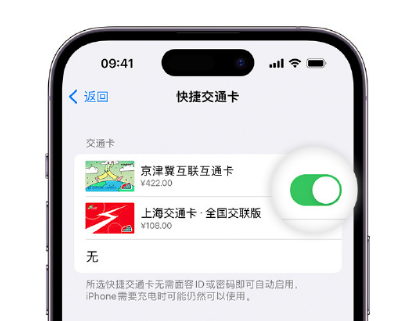 彝良apple维修点分享iPhone上更换Apple Pay快捷交通卡手绘卡面 