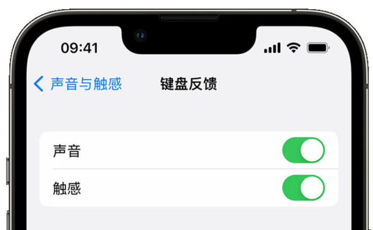 彝良苹果手机维修分享iPhone 14触感键盘使用方法 