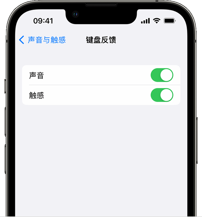 彝良苹果14维修店分享如何在 iPhone 14 机型中使用触感键盘 