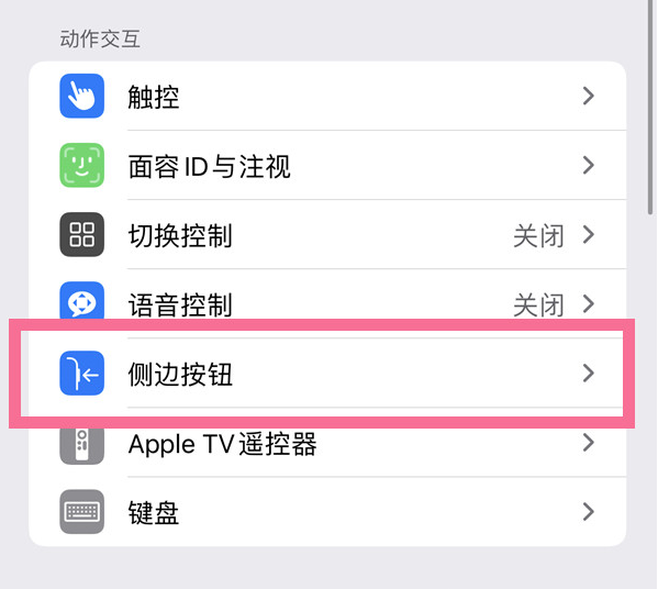 彝良苹果14维修店分享iPhone14 Plus侧键双击下载功能关闭方法 