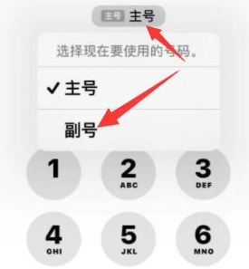 彝良苹果14维修店分享iPhone 14 Pro Max使用副卡打电话的方法 