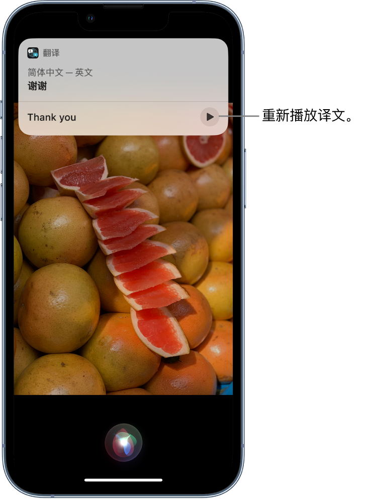 彝良苹果14维修分享 iPhone 14 机型中使用 Siri：了解 Siri 能帮你做什么 