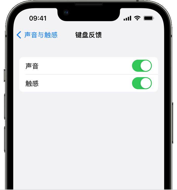 彝良苹果14维修分享iPhone 14 系列机型如何开启键盘声音或触感反馈 