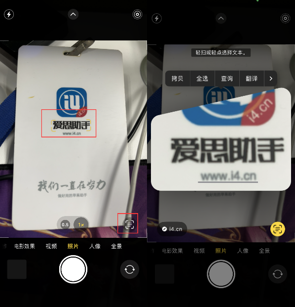 彝良苹果手机维修分享升级iOS 16后如何通过相机翻译文本 