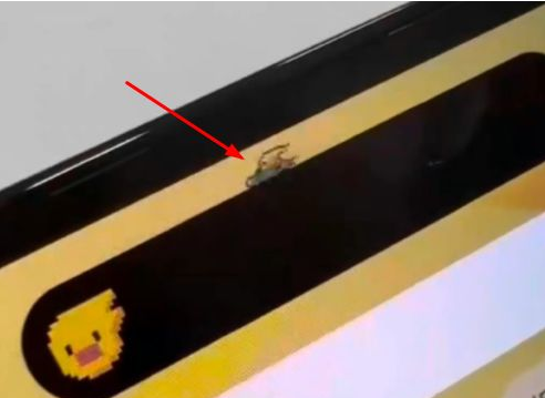 彝良苹果14维修分享iPhone 14 Pro Max灵动岛怎么养宠物 