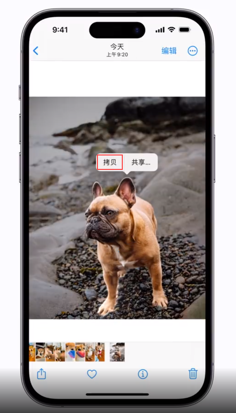 彝良苹果手机维修分享 iOS 16 自带一键抠图功能 
