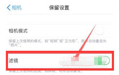彝良苹果13维修分享iPhone13拍照有绿点是怎么回事 