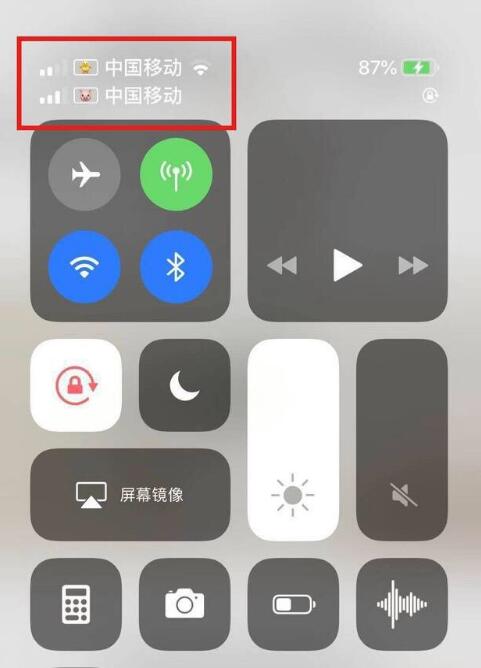 彝良苹果手机维修分享为 iPhone 12 双卡设置标签 